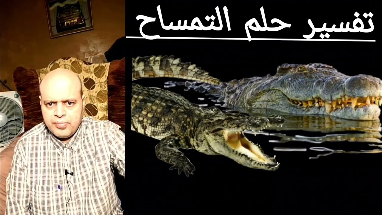 تفسير حلم رؤيه التمساح في المنام