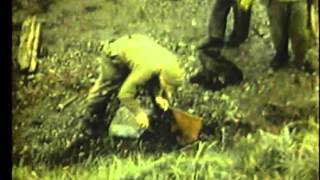 Kiska, Aleutian Islands, Alaska