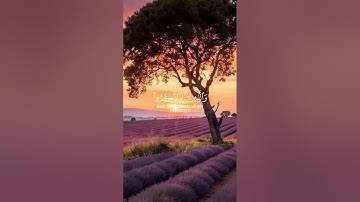 _القرآن الكريم_ ماتيسر _من سورة _ الفرقان # #اكسبلور #اللهم صل وسلم وبارك على نبينا محمد