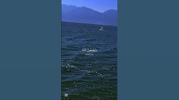 سورة التوبة #قرآن #قران_كريم #العرب #ناصر_القطامي #راحة_نفسية #اكسبلور #سورة_التوبة #العرب