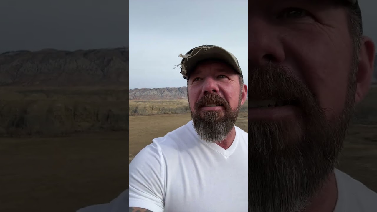 Это тот вид коррупции, который приводит к краху целых государств.