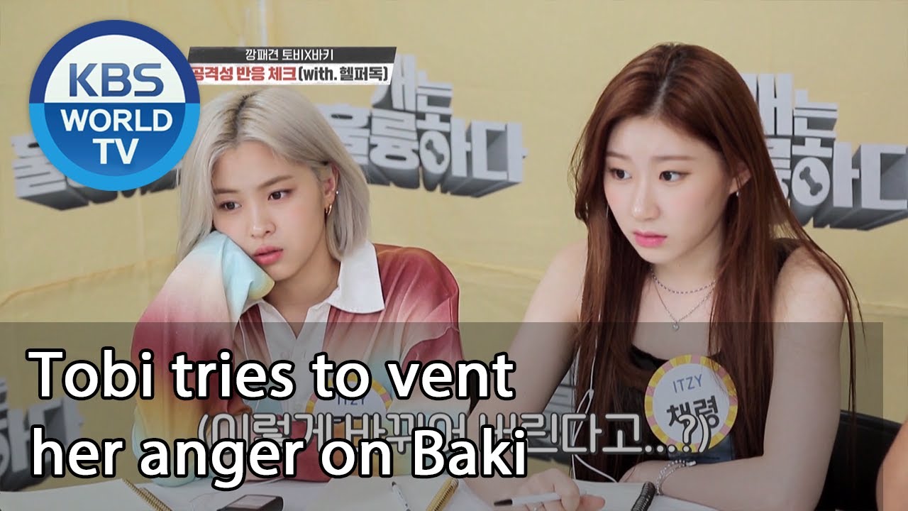 Tobi tries to vent her anger on Baki (Dogs are incredible) | KBS WORLD TV 200909