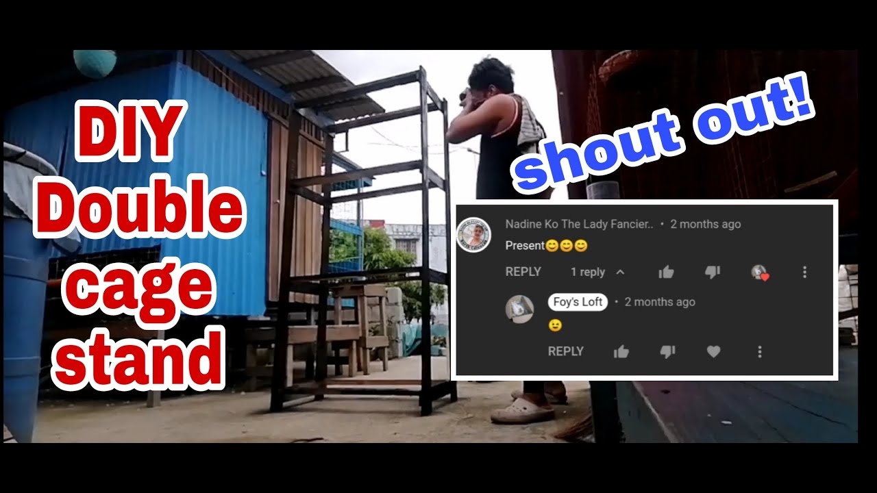 diy double cage stand | shout out time