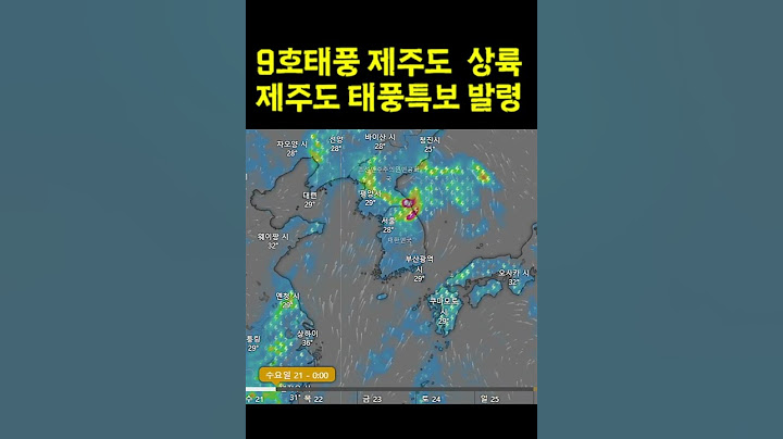 9호 태풍 '종다리'가 북상하면서 제주 바다에 태풍 특보 1