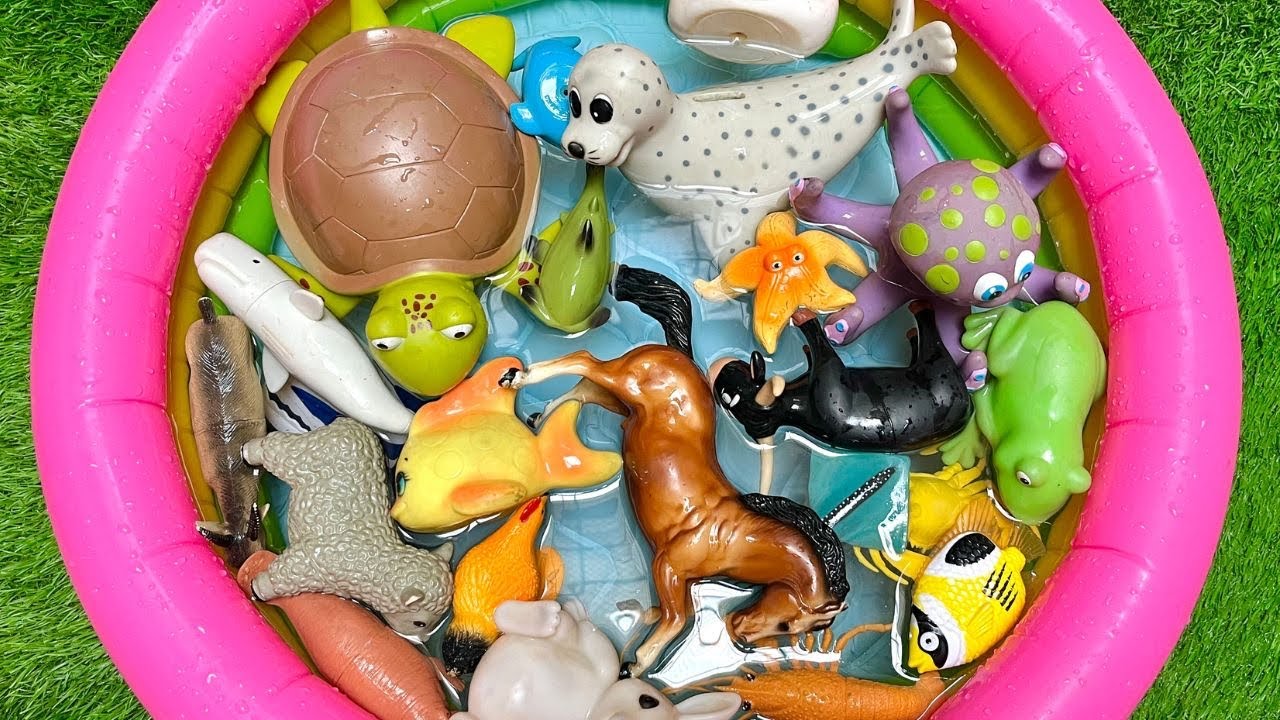 Farm Animals to Deep Sea Creatures | Kids Learning with Farm & Sea ...