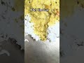 Daal Chawal 💓 #aesthetic #aestheticvlog #cozyliving #funny #dailyvlog #vlog #love #daysinmylife