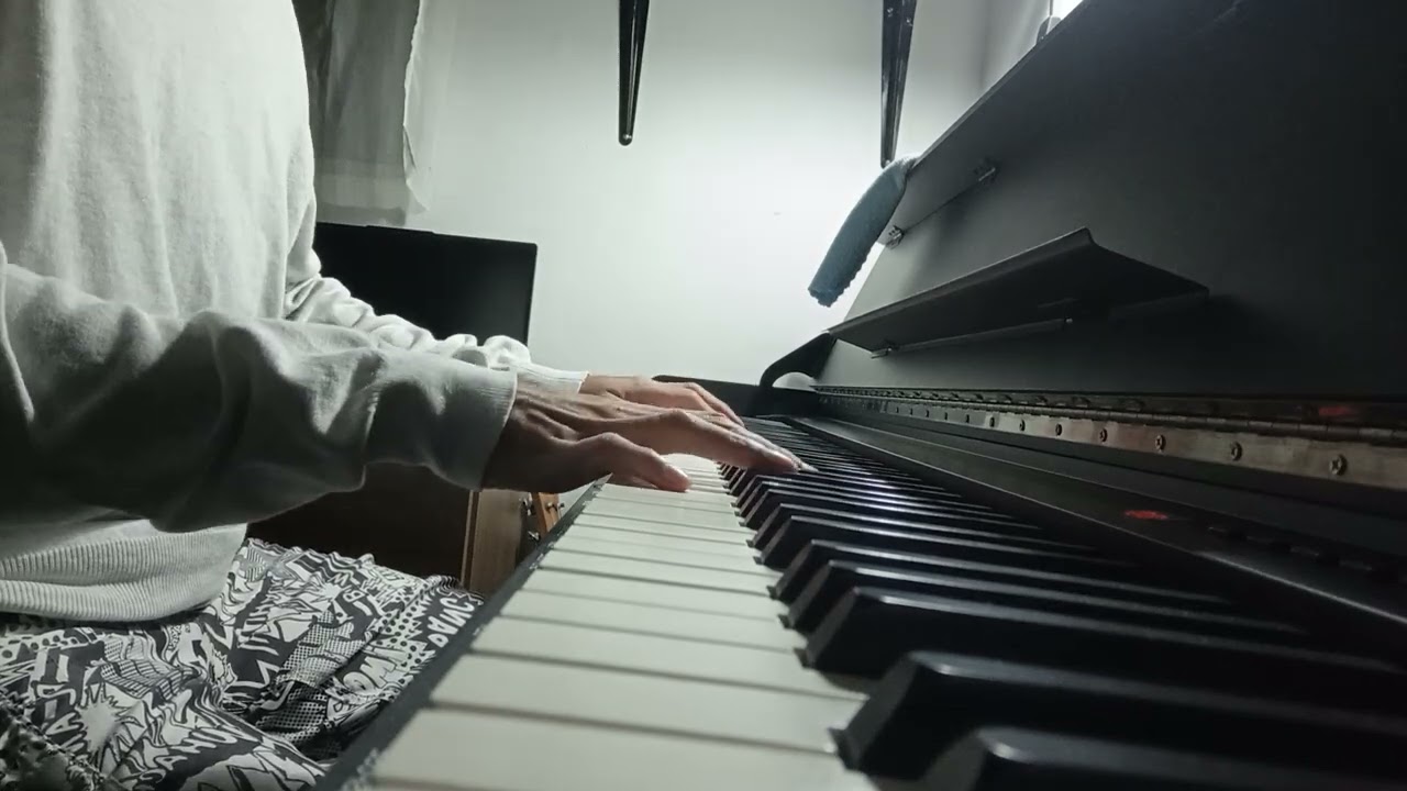 Petting the keys - IBI (Resumen cover)