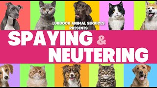 Lubbock Animal Services - Spaying & Neutering
