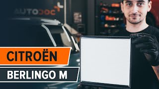 Come cambiare Filtro Antipolline carbone attivo e biofunzionale Citroen Berlingo MF - video tutorial