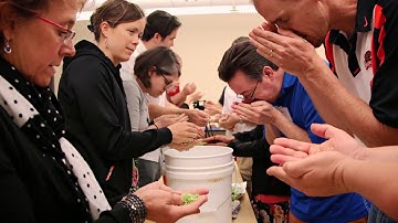 Beer Quality and Sensory Analysis