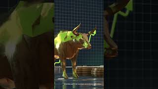 Golden Crossover Strategy Explained | Stock Trading Guide India