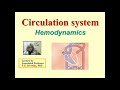 Lecture 14. Hemodynamics