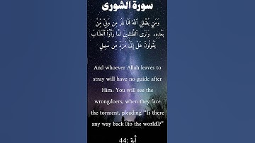 سورة الشورى من الأية 43 الى 44