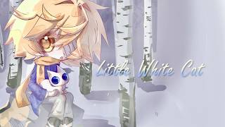Little White Cat