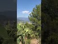 «Тещин язык» - Kaynana dili🌵#Аланья #travel  #nature  #alanya