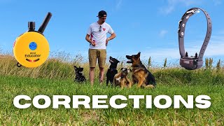 Fixing Unwanted Behaviours with an Ecollar