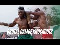 Brutal dambe boxing knockouts pt 8  african warriors fc dambe