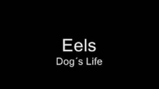 Eels - Dog`s Life chords