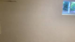 Newport News Property 1