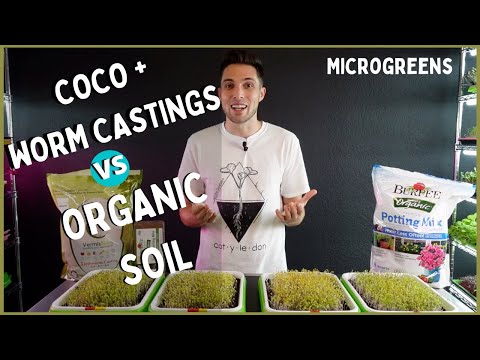 CocoCoir + WORM CASTINGS vs ORGANIC SOIL!? - Microgreen Grow Test