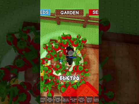 Как быстро пройти событие Летний урожай в Grow a Garden 🌞🍅