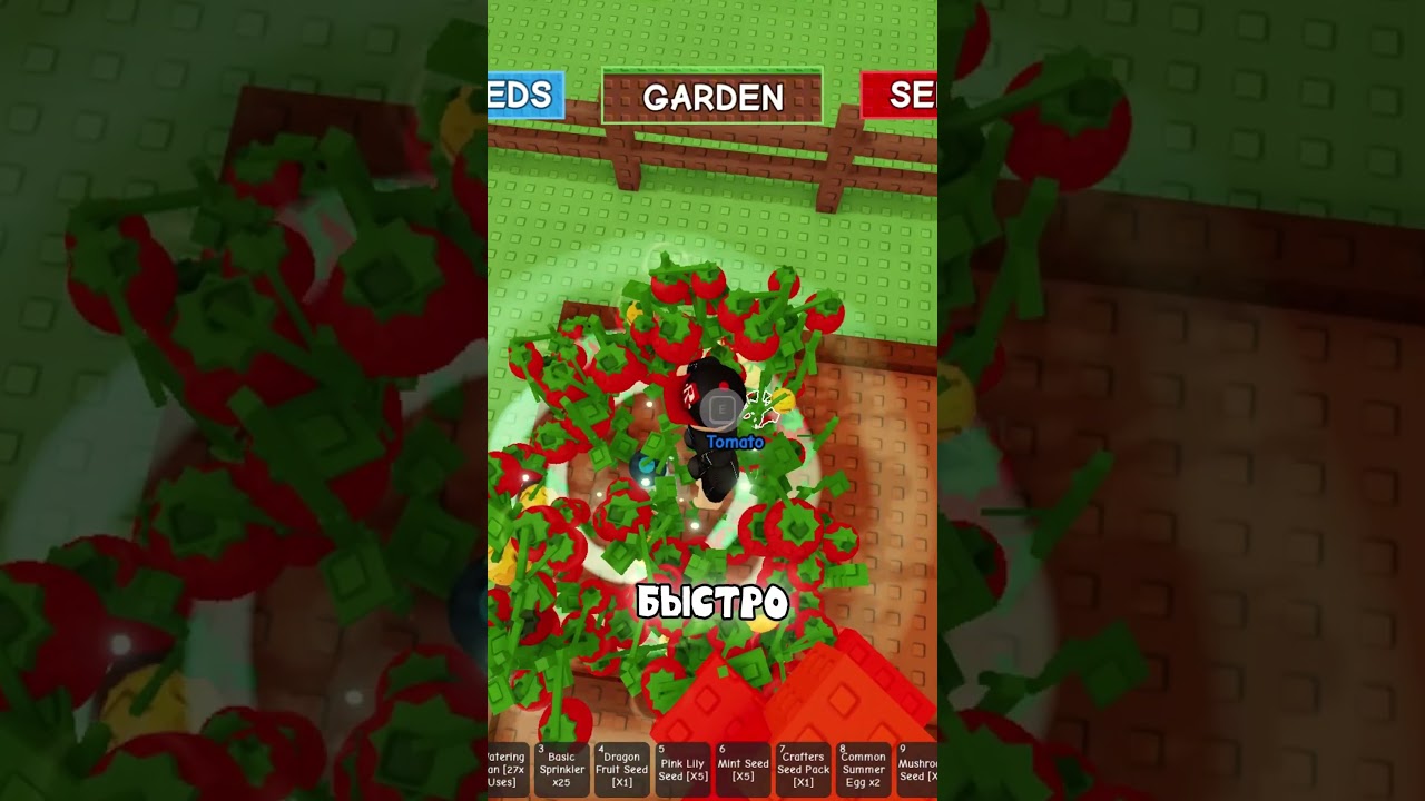 Как быстро пройти событие Летний урожай в Grow a Garden 🌞🍅