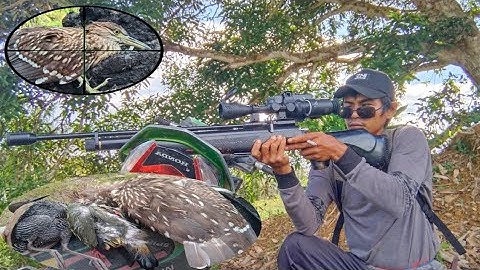 solo hunting‼️berburu di sore hari spot gunung dan rawa-rawa | ambil poin bikin sesak nafas