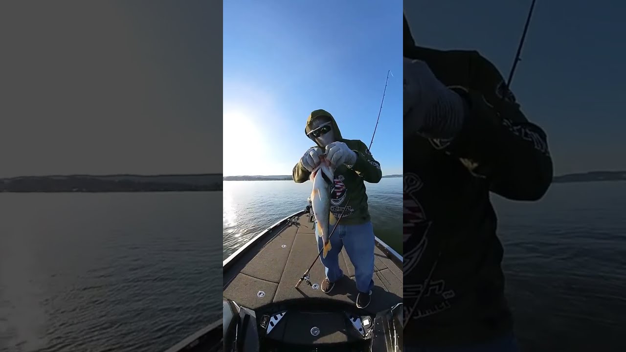 Bass fishing live on Lake Guntersville Pt 2 July 31, 2024