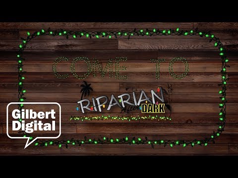 Video: Riparian After Dark Holiday Lights in Gilbert, Arizona