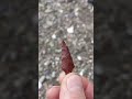 Guy Finds Jasper Arrowhead!