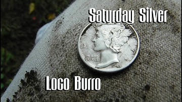 Saturday Silver - XP Deus at the Hunted Out Park