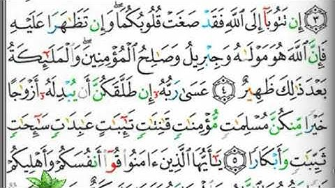 مصحف التجويد صفحة 560 إبراهيم الأخضر 🕋🕋