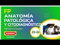  fp anatoma patolgica y citodiagnstico ciclo explicado en 5 minutos