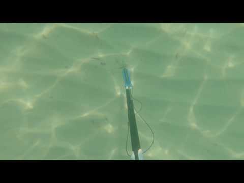 Anglesey Cable bay spearfishing