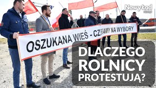 Protesty rolników. Ukraińskie zboże zalewa polski rynek | Anna Bryłka, Ruch Narodowy