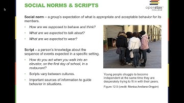 OpenStax Psychology Chapter 12: Social Psychology