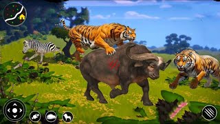 Tiger Animal Simulator - Wild Animals VS Tiger Game 3D - Android GamePlay screenshot 5