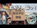 那珂湊おさかな市場でお寿司と牡蠣。暑い日は水族館が快適。那須は温泉入り放題。