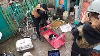 Ukraine pet rescue with Nick Tadd - Braving the bombs in Chasiv Yar