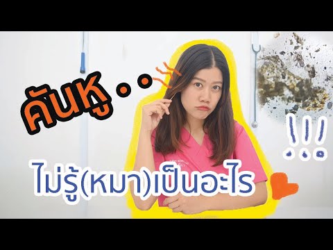 Around the pet EP.14 สัตว์เลี้ยงเป็นไร(ในหู) ทำไงดี ?