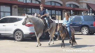 JJ and Shining - riding around town! - ValleyViewRanch.net