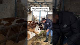 Bayramda Eli̇mi̇ Öpen Kizlara Harçlik Verdi̇m