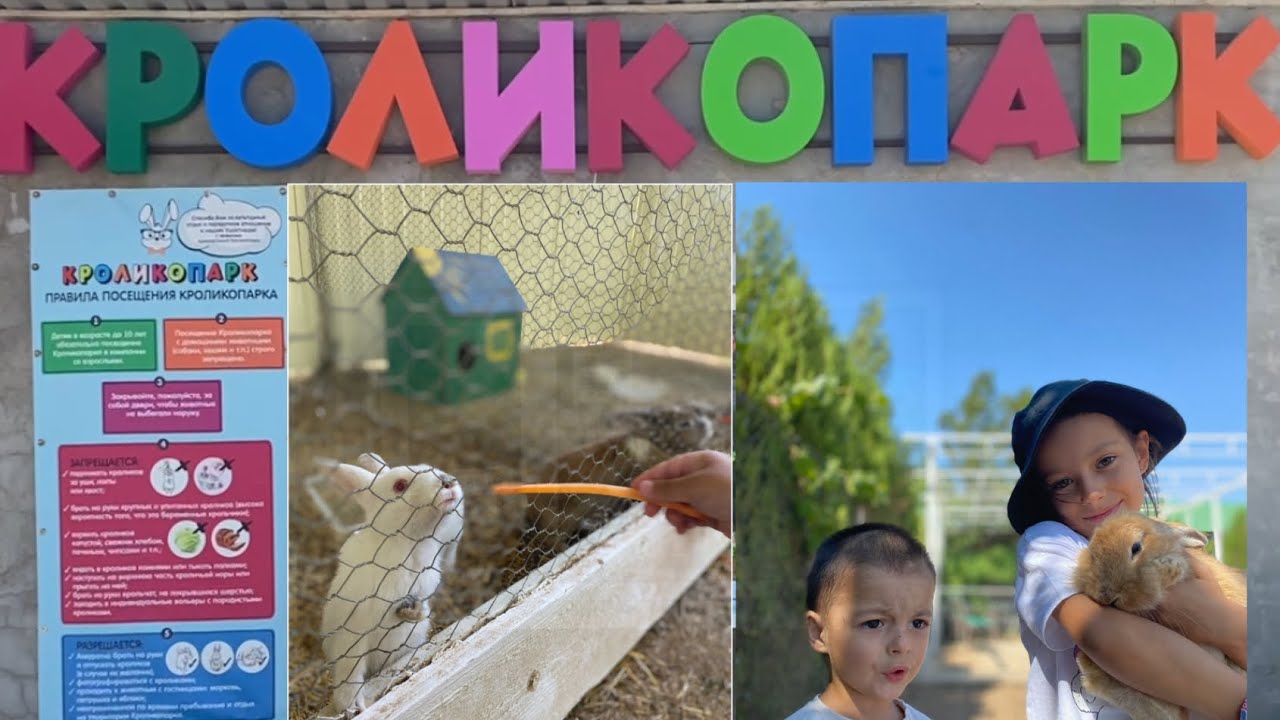 КРОЛИКОПАРК Крым. Червоное Сакский район 🐇
