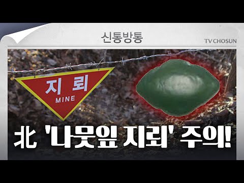 [신통방통] &amp;quot;나뭇잎인 줄 알았는데&amp;quot;···호우로 인한 유실 지뢰 주의