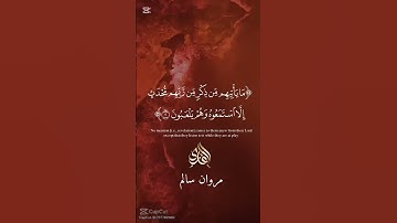 #رائعه #القرآن_الكريم #أوائل سوره الانبياء🌹#القارئ_مروان_سالم🌹#تلاوه#اكسبلور #دويتو