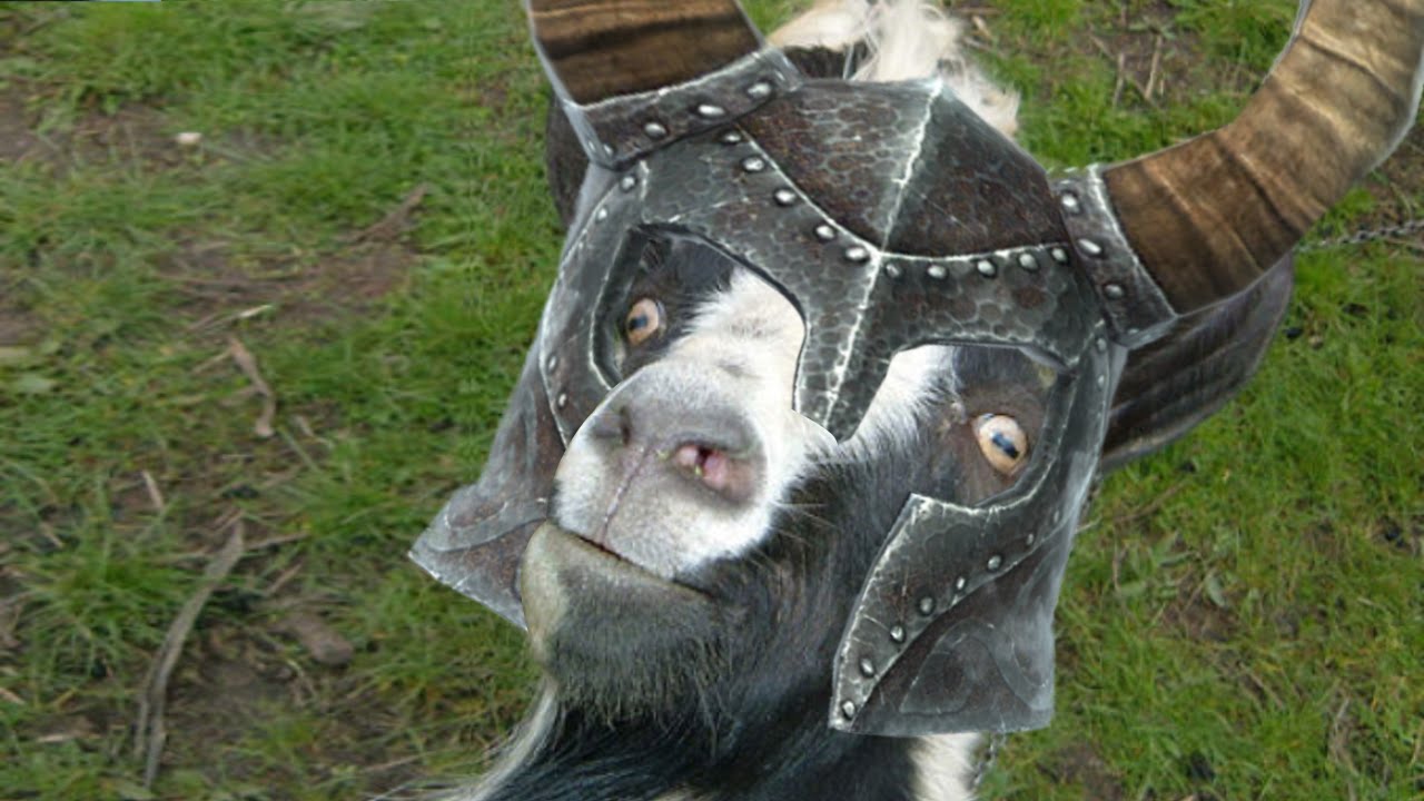 Zebratastic Moments: Goat MMO Simulator - YouTube
