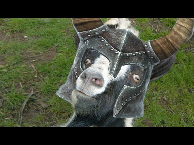 Zebratastic Moments: Goat MMO Simulator - YouTube