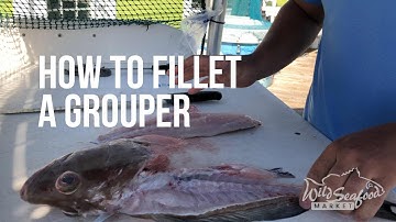 How to Fillet a Grouper Fish | Most Meat, No Bones | Plus Cheeks