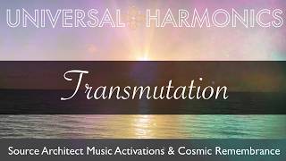 Transmutation | Source Architect Harmonic Activation For Divine Remembrance