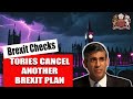 Tories still cant implement their extreme brexit